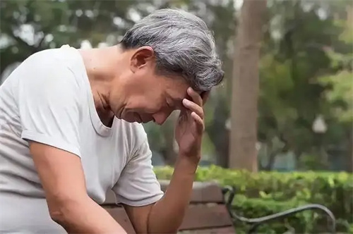 详细展示