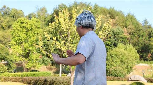 图片细节
