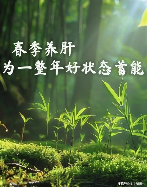 详细介绍
