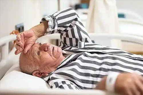 详细介绍