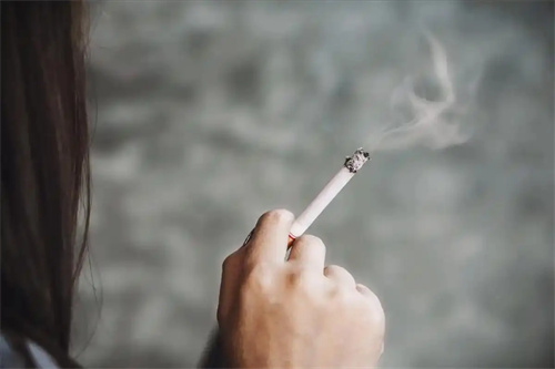 细节介绍