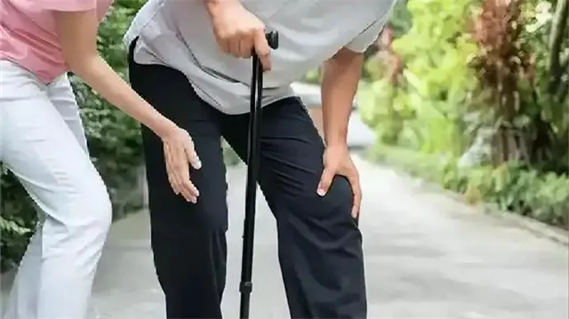 详细介绍