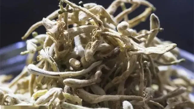 细节呈现