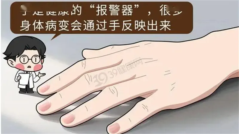 详细介绍