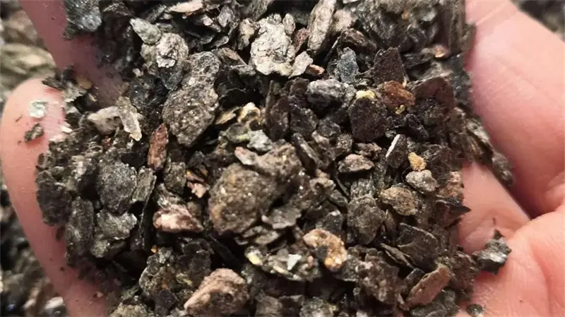 详细介绍
